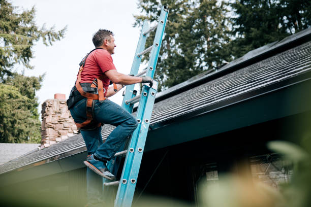 Best Roof Moss and Algae Removal  in Chubbuck, ID